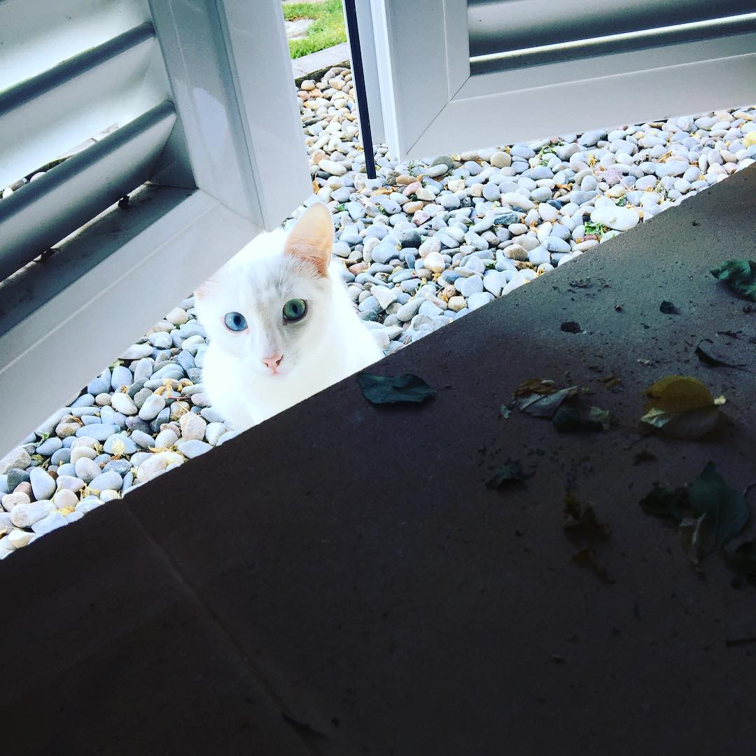 hotel barcelo formentor 2016