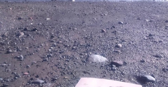 Me hace muy feliz esta foto de @marvegas22 disfrutando con #labachillera en Canarias! 2 Novela La bachillera de Roser Amills