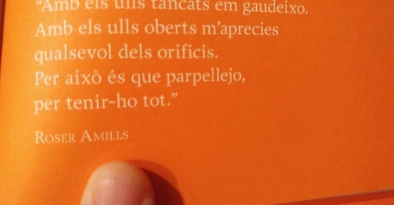 poema de roser amills parpellejo