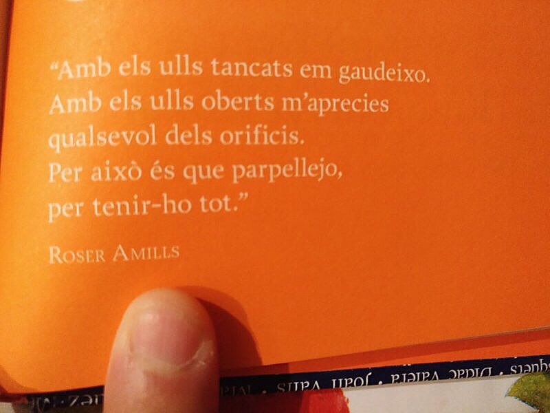 poema de roser amills parpellejo