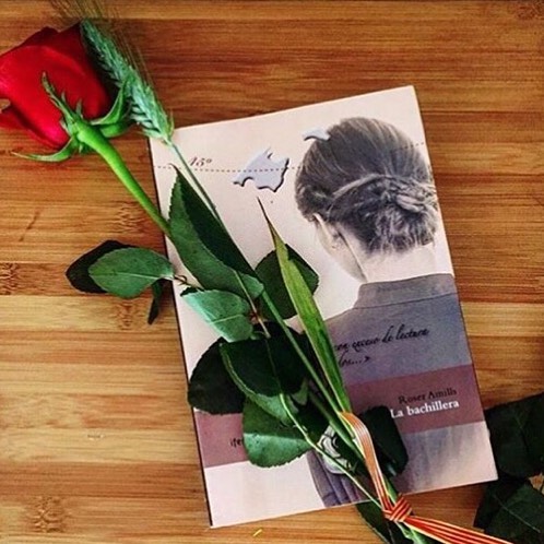 Roser amills la bachillera novela 2016