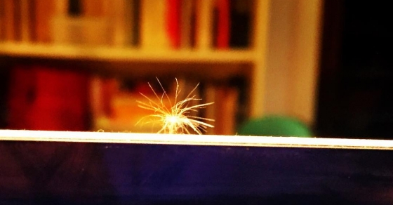 Magia es que la cipsela de un Diente de León se pose sobre tu ordenador mientras escribes. Feliz con estas ayudas para mi #novela2017 :)) - Roser Amills, escritora mallorquina