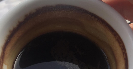 "Los libros van siendo el único lugar de la casa donde se puede estar tranquilo" Julio Cortázar Desayuno con @malpaso.libreria :)) - Roser Amills, escritora mallorquina