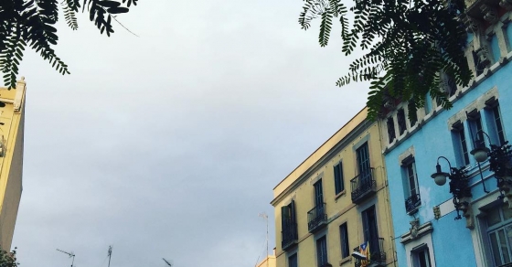 La tarde entendida desde un punto de vista científico es un concepto solar ;)) - Roser Amills, escritora mallorquina