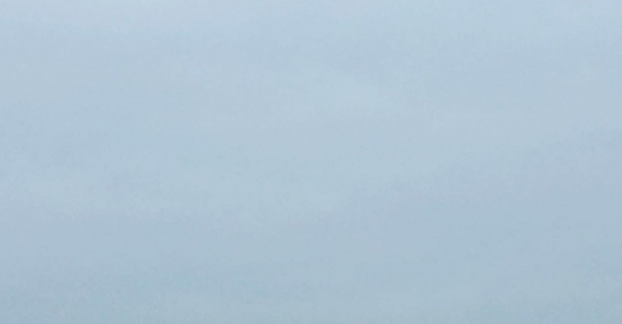 "¡No vayan ahí fuera! ¡Hay algo en la niebla!" The Mist, Stephen King - Roser Amills, escritora mallorquina
