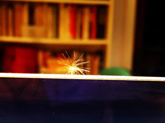 Diente De Leon Ordenador Escribiendo