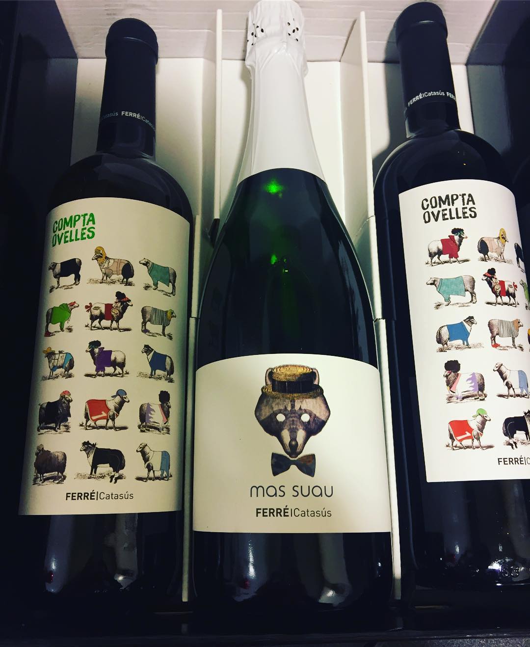 Obsequi Vi Compta Ovelles