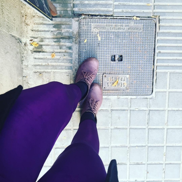 Pies De Roser Amills