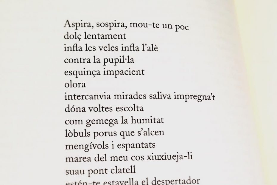poema de roser amills