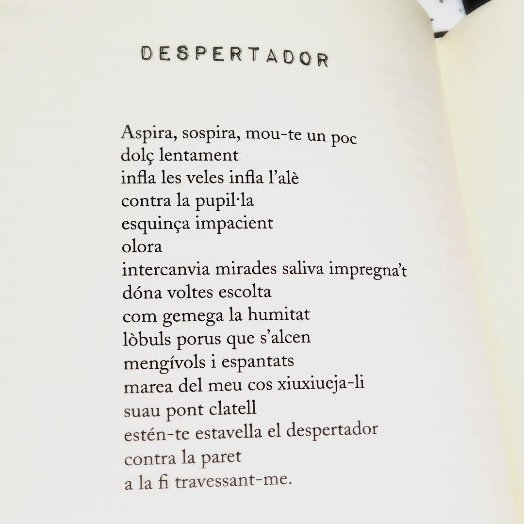 poema de roser amills