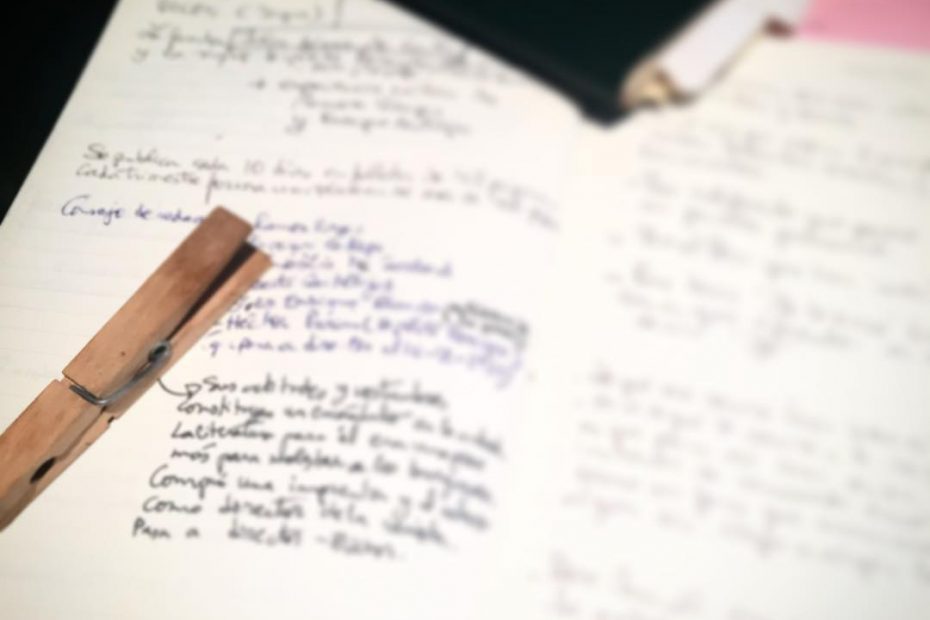 Roser Amills Cuadernos