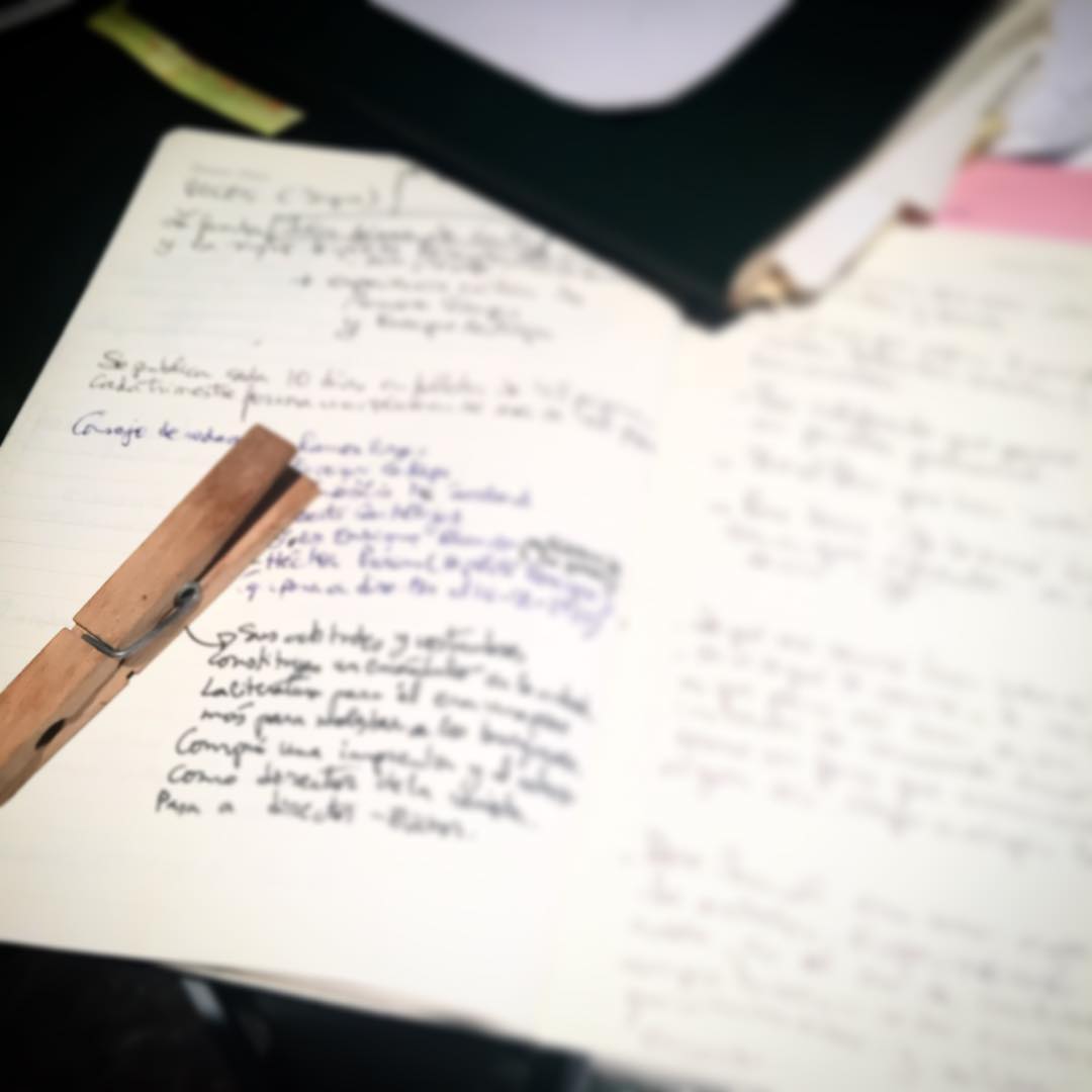 Roser Amills Cuadernos