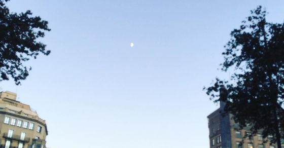 Luna - Roser Amills, escritora mallorquina