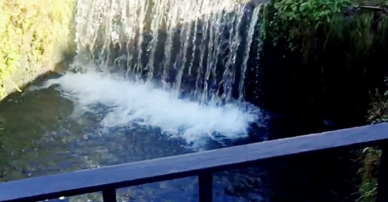 Mientras, en #Ordino... - Roser Amills, escritora mallorquina