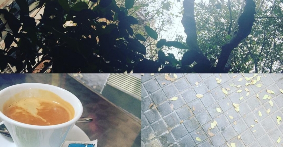 Que tengáis una feliz penúltima tarde de noviembre :)) - Roser Amills, escritora mallorquina