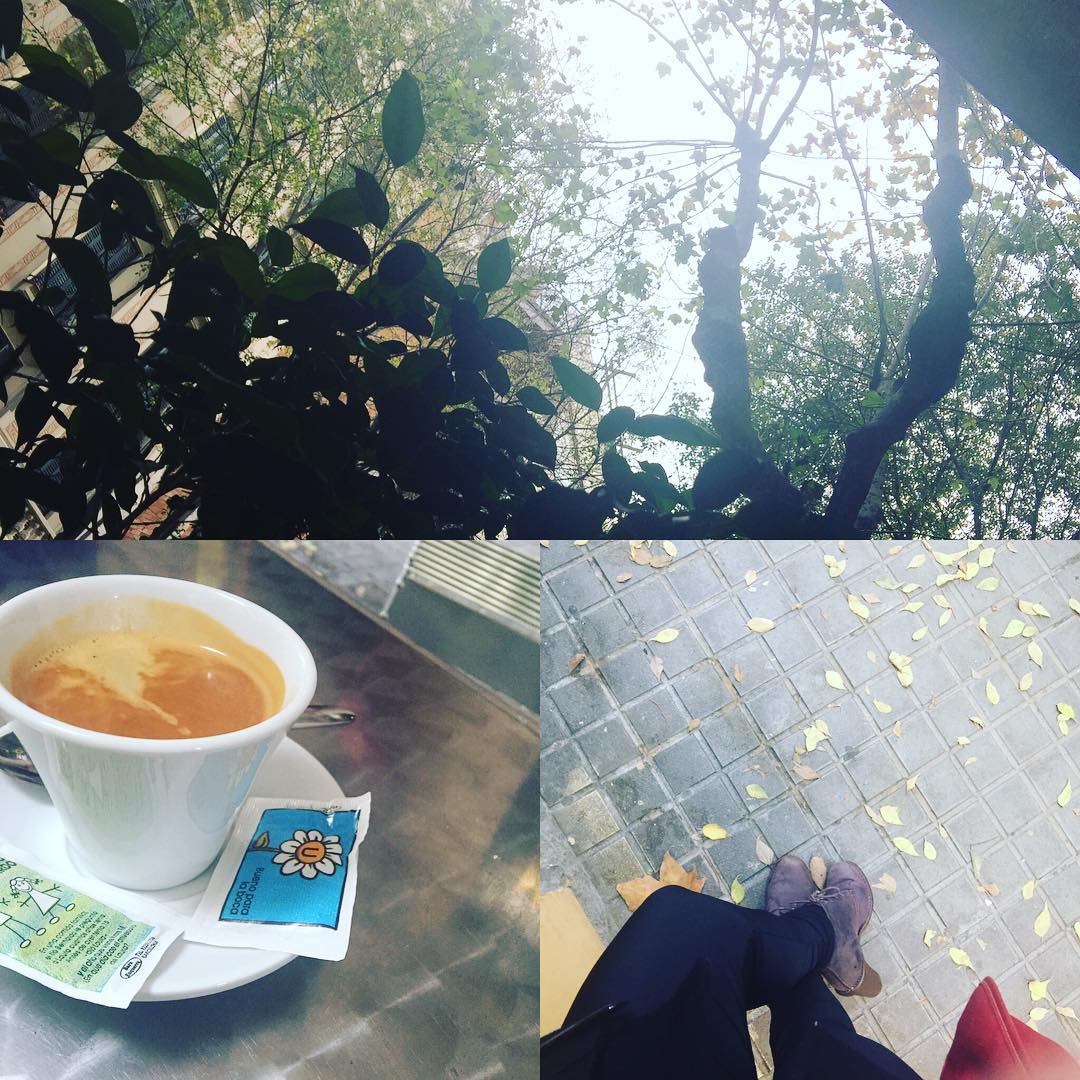 Que tengáis una feliz penúltima tarde de noviembre  