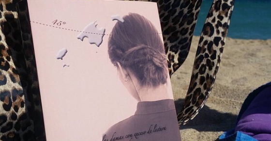 novela la bachillera de roser amills