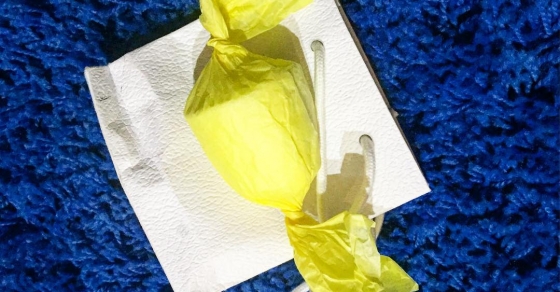 Regalo De Annabel Arcos Para Roser Amills