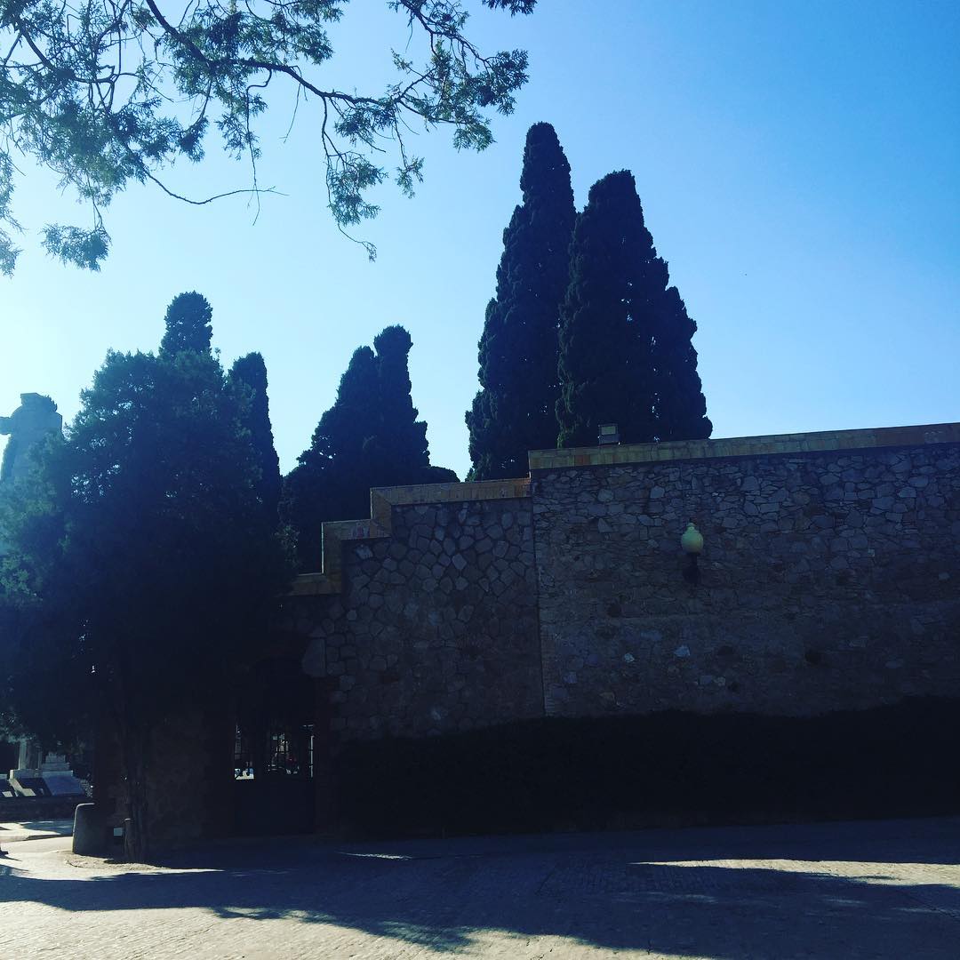 Un dia ben bonic i assolellat.Doncs existim, alegrem-nos, deia en #ramonllull