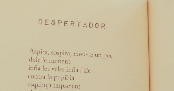 Aspira, sospira, mou-te un poc / dolç lentament ... [poema de #morbo editorial Cossetània] - Roser Amills, escritora mallorquina
