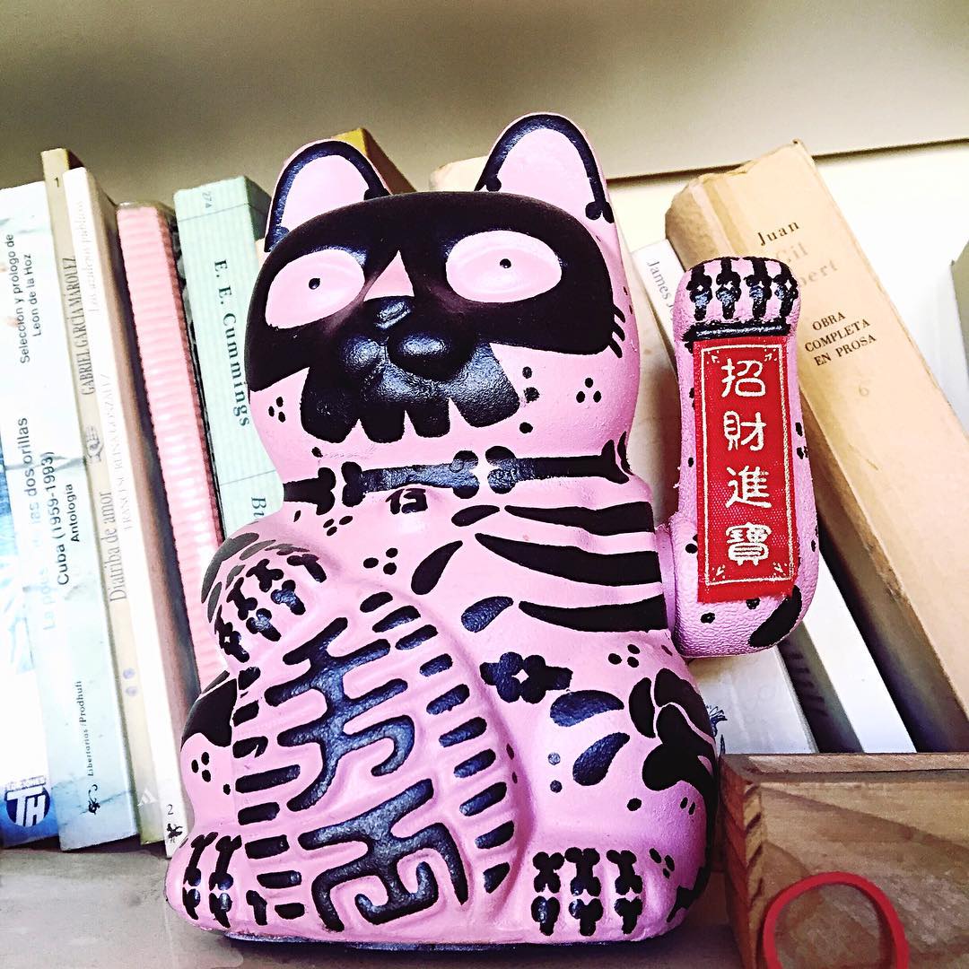 Mi gato os manda un saludo