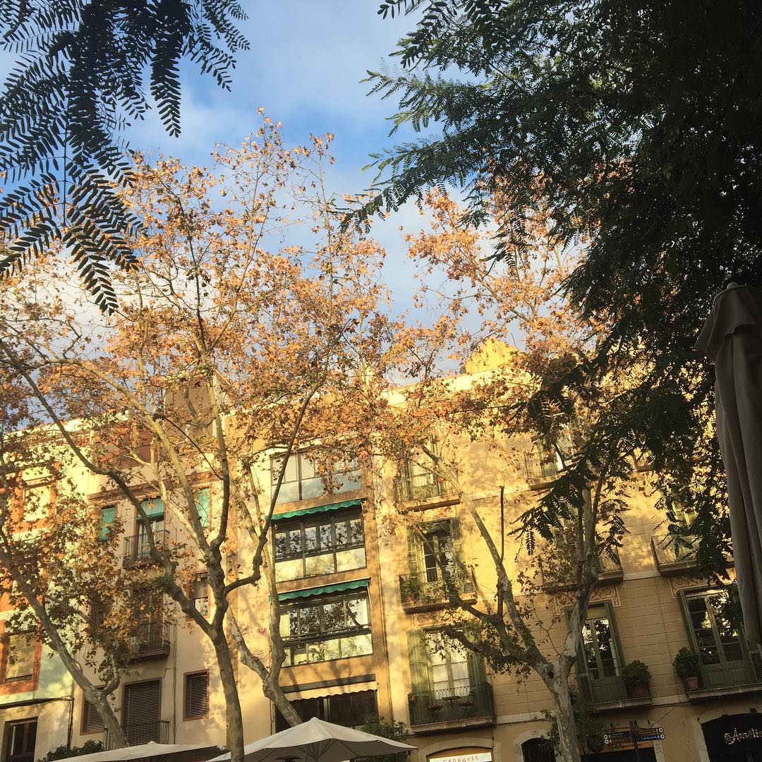 plaça de la vila de gracia, barcelona