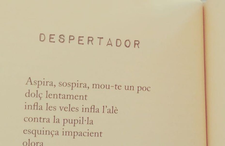 poema morbo de roser amills