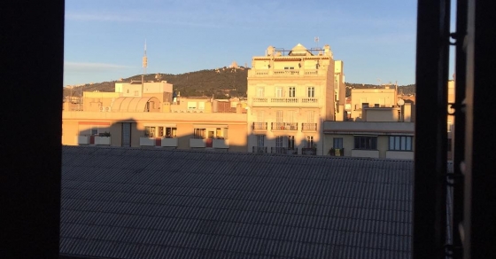 mercat de l'abaceria de gracia