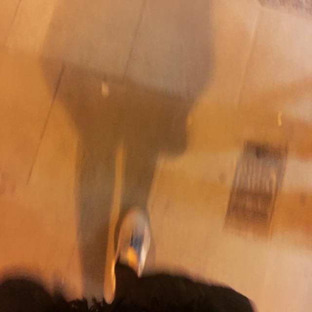 pies de roser amills