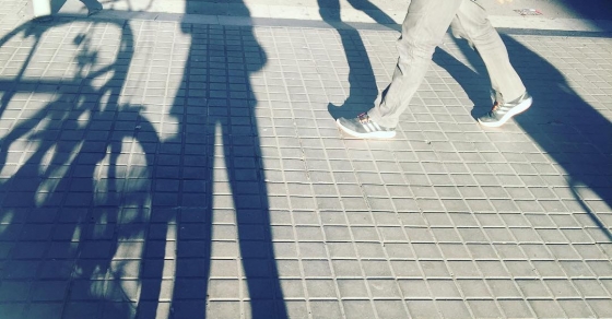 sombra de roser amills