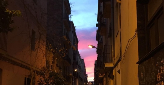 Bon dia! Foto de @afromarc86 ;)) #amillsmorning #bondia #buenosdias #goodmorning #morning #day #barcelona #barridegracia #daytime #sunrise #morn #awake #wakeup #wake #wakingup #ready #sleepy #sluggish #snooze #instagood #earlybird #algaida #photooftheday #gettingready #goingout #sunshine #instamorning #early 2 Bon dia! Foto de @afromarc86 ;)) #amillsmorning #bondia #buenosdias #goodmorning #morning #day #barcelona #barridegracia #daytime #sunrise #morn #awake #wakeup #wake #wakingup #ready #sleepy #sluggish #snooze #instagood #earlybird #algaida #photooftheday #gettingready #goingout #sunshine #instamorning #early - Roser Amills, escritora mallorquina