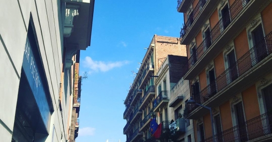 Tenemos un día radiante, #felizdomingo - Roser Amills, escritora mallorquina