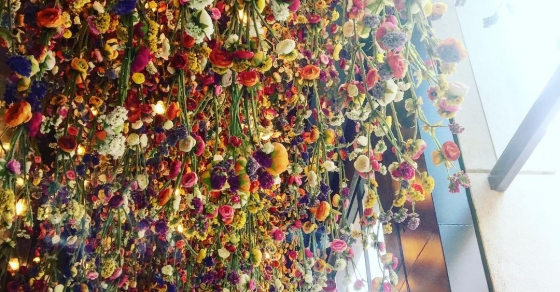 Entrada de Bellavista BCN