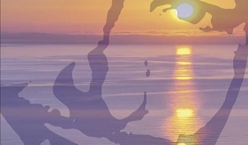 Errol Flynn + Mallorca + años 50 = la novela #elecuadordeulises para ti ;)) - Roser Amills, escritora mallorquina