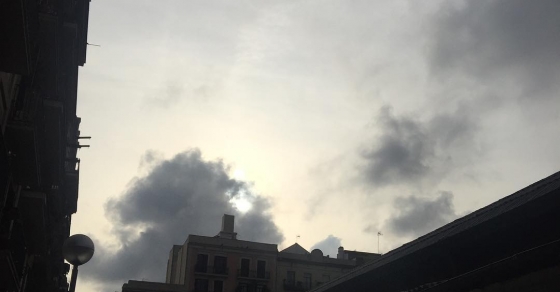 Buenas tardes, bellos seres del viernes noche :)) - Roser Amills, escritora mallorquina