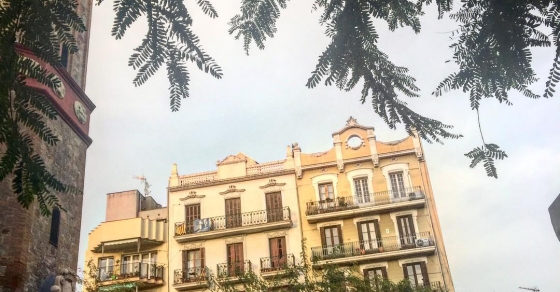 A veces miras hacia arriba y te das cuenta del árbol que te abraza - Roser Amills, escritora mallorquina