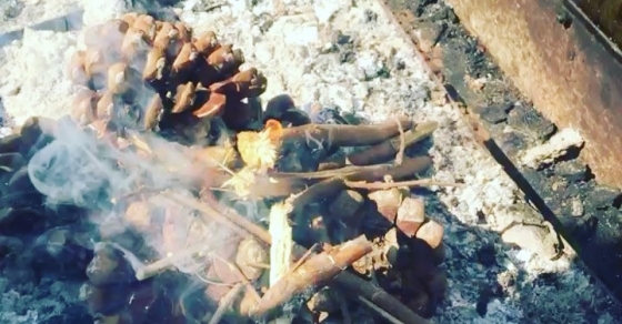 Empecemos a encender el #fuego ;)) - Roser Amills, escritora mallorquina