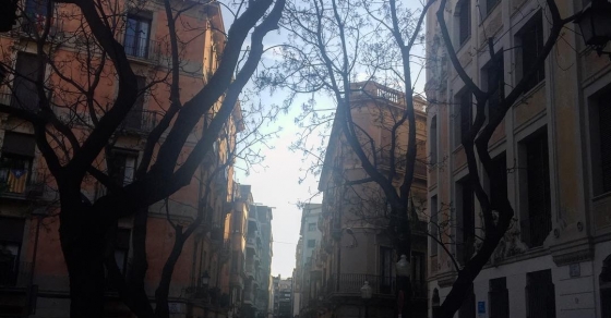 Esta luz es una fiesta sideral!! - Roser Amills, escritora mallorquina