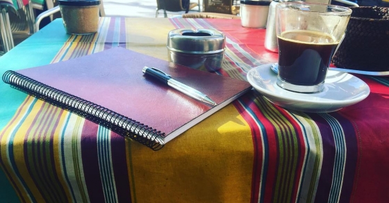 cuadernos de roser amills