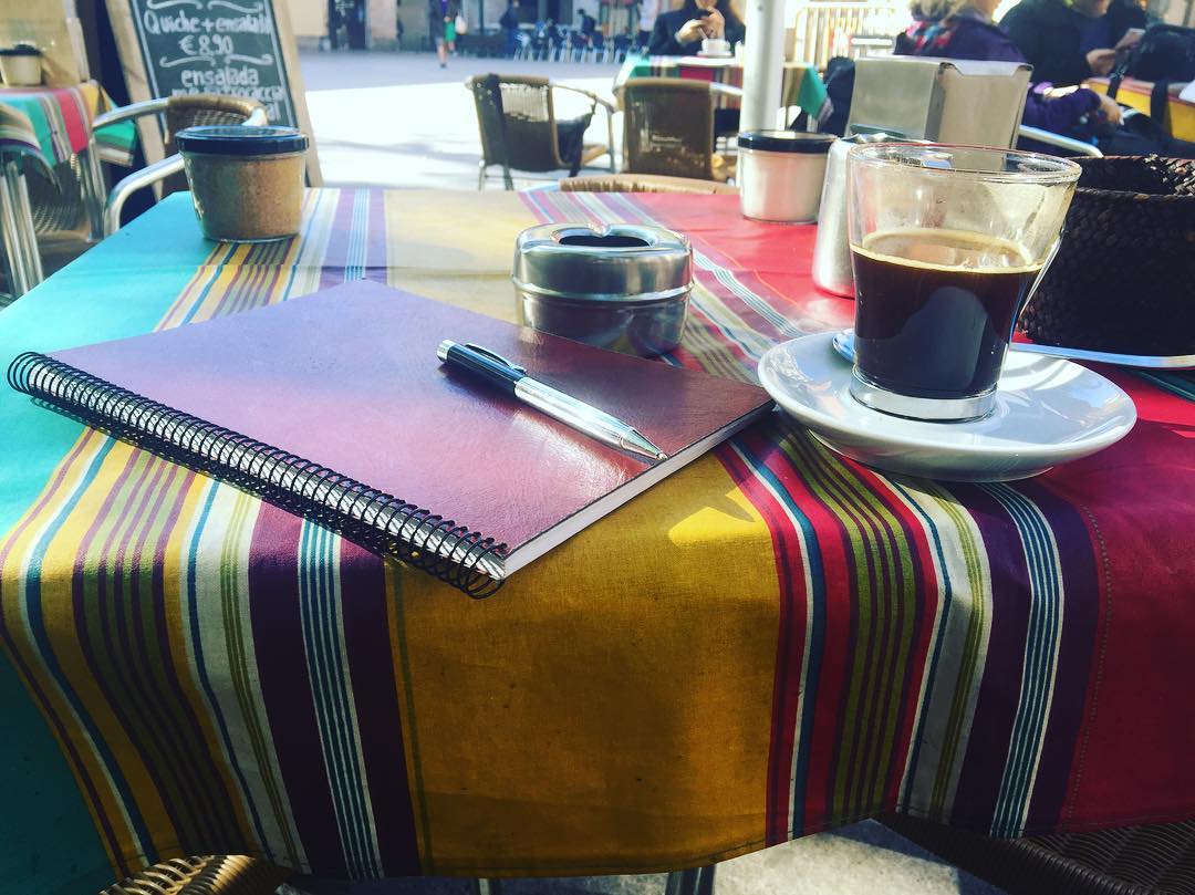 cuadernos de roser amills