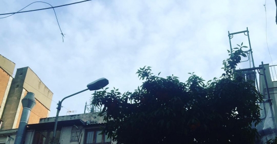 Ha salido el sol y nosotros con él ;)) - Roser Amills, escritora mallorquina