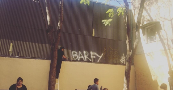 Los #grafitis y @barcelona_cat tienen una historia de amor intensa y continuada :)) - Roser Amills, escritora mallorquina
