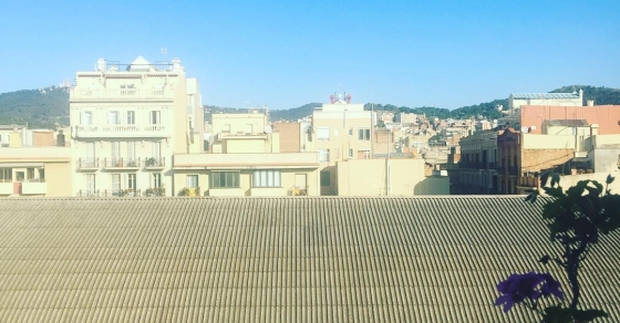 Feliz y radiante lunes! - Roser Amills, escritora mallorquina
