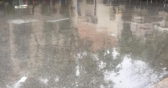 Buenos días, lluvia fresquita :)) - Roser Amills, escritora mallorquina