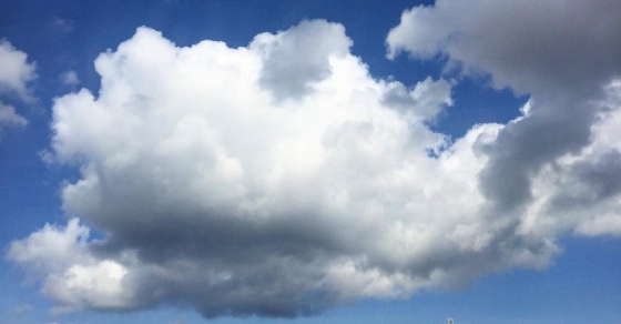 ¿Cómo agradecer a las nubes /
esa abundancia fugitiva? Pablo Neruda - Roser Amills, escritora mallorquina