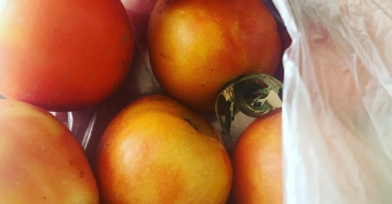 Tomàquets de penjar, nyam! - Roser Amills, escritora mallorquina