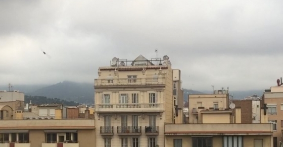 Que nadie se olvide hoy el paraguas en casa: los pájaros y las nubes son de chaparrón ;)) - Roser Amills, escritora mallorquina