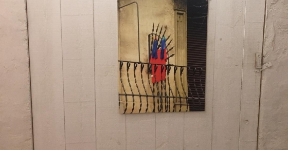 La ciudad erizada (expo de Guillem Martínez) - Roser Amills, escritora mallorquina