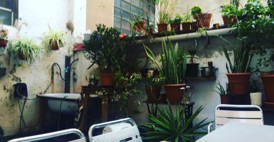 Conocéis La Felpa? - Roser Amills, escritora mallorquina