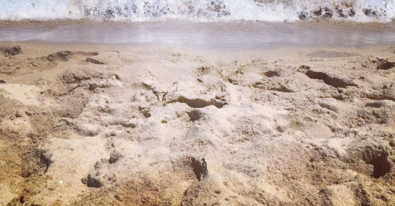 El mar, la mar (sempre m'enyor de #mallorca) - Roser Amills, escritora mallorquina